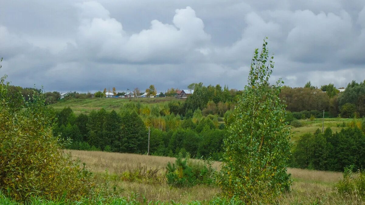 Дмитриевы горы владимирская область меленковский район. Дмитриевы горы владимирская. Село дмитриевы горы меленковского района. Дмитриевы горы. Река ока ступино.