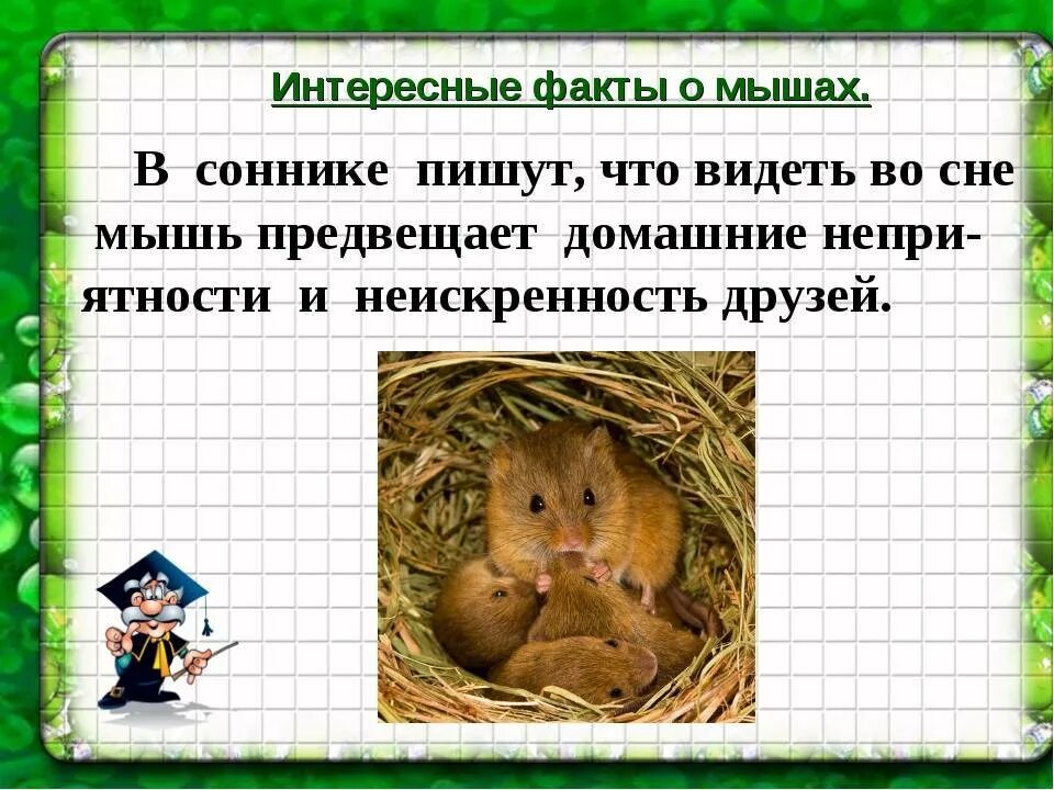 Видеть во сне мышиные