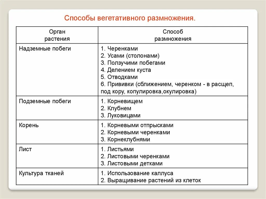 Заполнить таблицу вегетативное размножение. Способы вегетативного размножения 6 класс биология таблица. Вегетативное размножение растений 6 класс биология таблица. Способы вегетативного размножения растений таблица. Таблица по биологии 6 класс способы размножения растений.