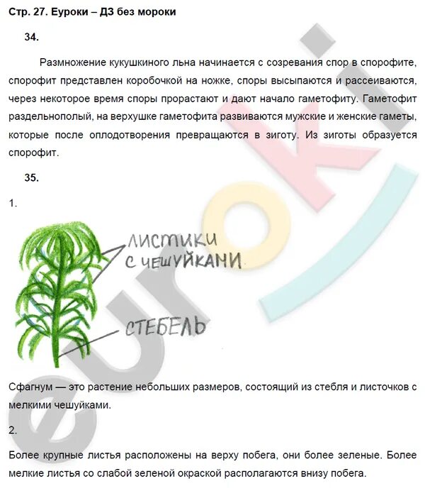 Краткое содержание биологии 7. Конспект по биологии 7 класс класс. конспект учебника по биологии 7 класс. решебник по биологии 7 класс. биология 7 класс краткое содержание.