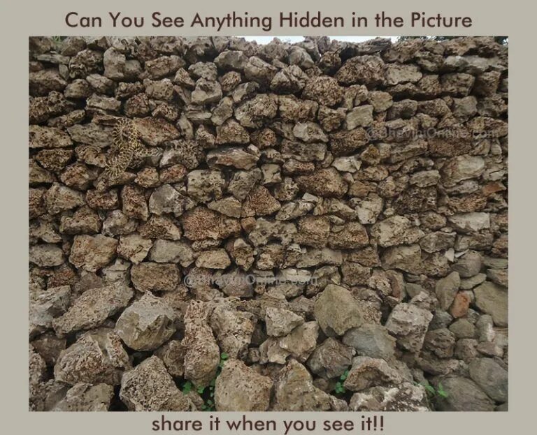 Can t find anything