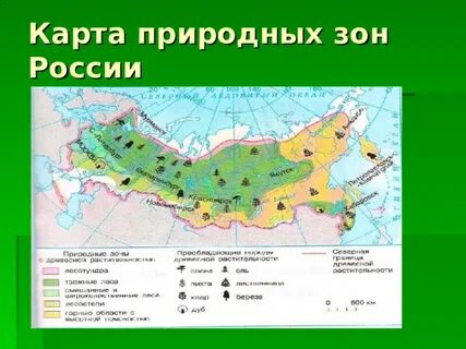 Лесные зоны на карте 4 класс