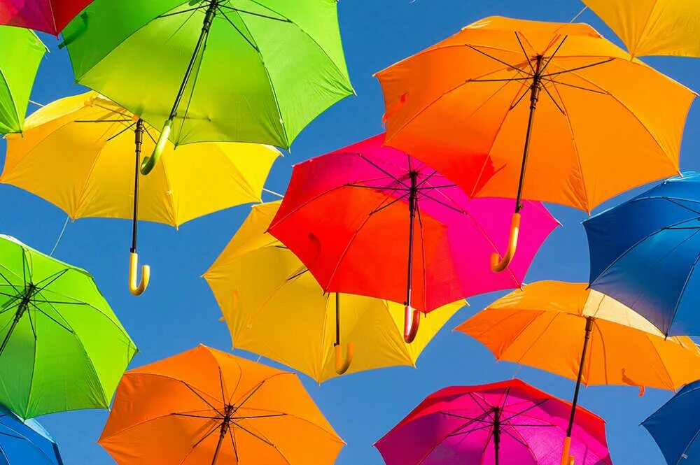 Зонтики 10. Зонтики разных размеров. Фоны креативные с зонтиком радужные. Творческий фестиваль зонт парки Поющие. Поющие под дождем в парке.