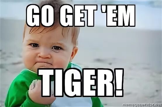 Go get them Tiger. Go get'em, Tiger!. Go get'em Tiger meme. Go get em Puppy. Go get https