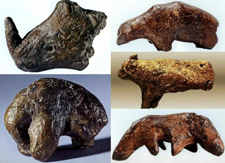 Кость глина. Кость глина. Косточка из полимерной глины. Материал метал дерево камень. Костная глина.