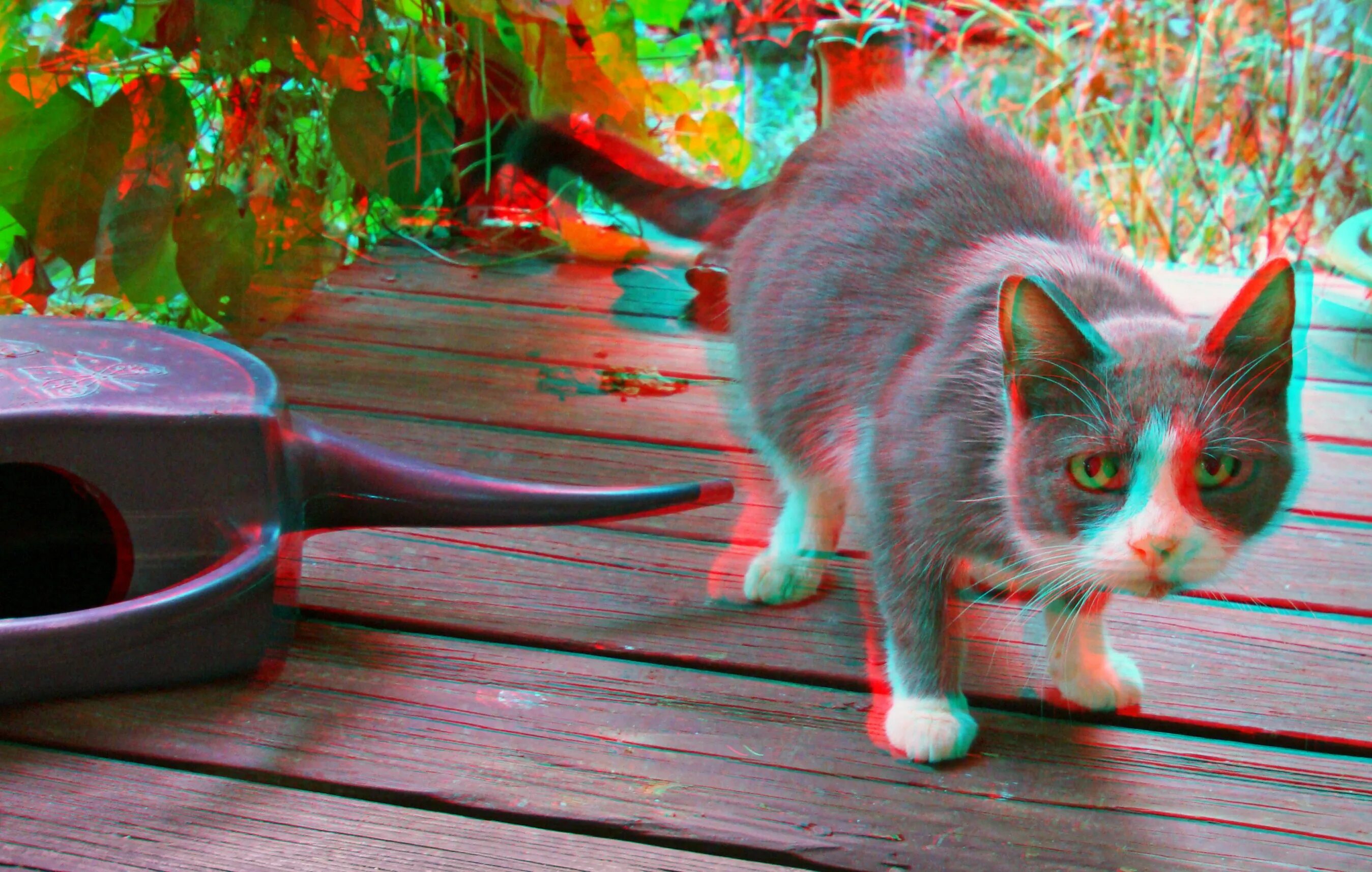 Анаглиф эффект. Анаглиф red-cyan. Анаглифные 3. Анаглифные 3d очки анаглифные. Vr американские горки 360 для вр очков.