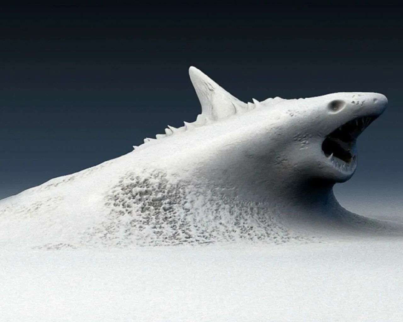 3 d ocean
