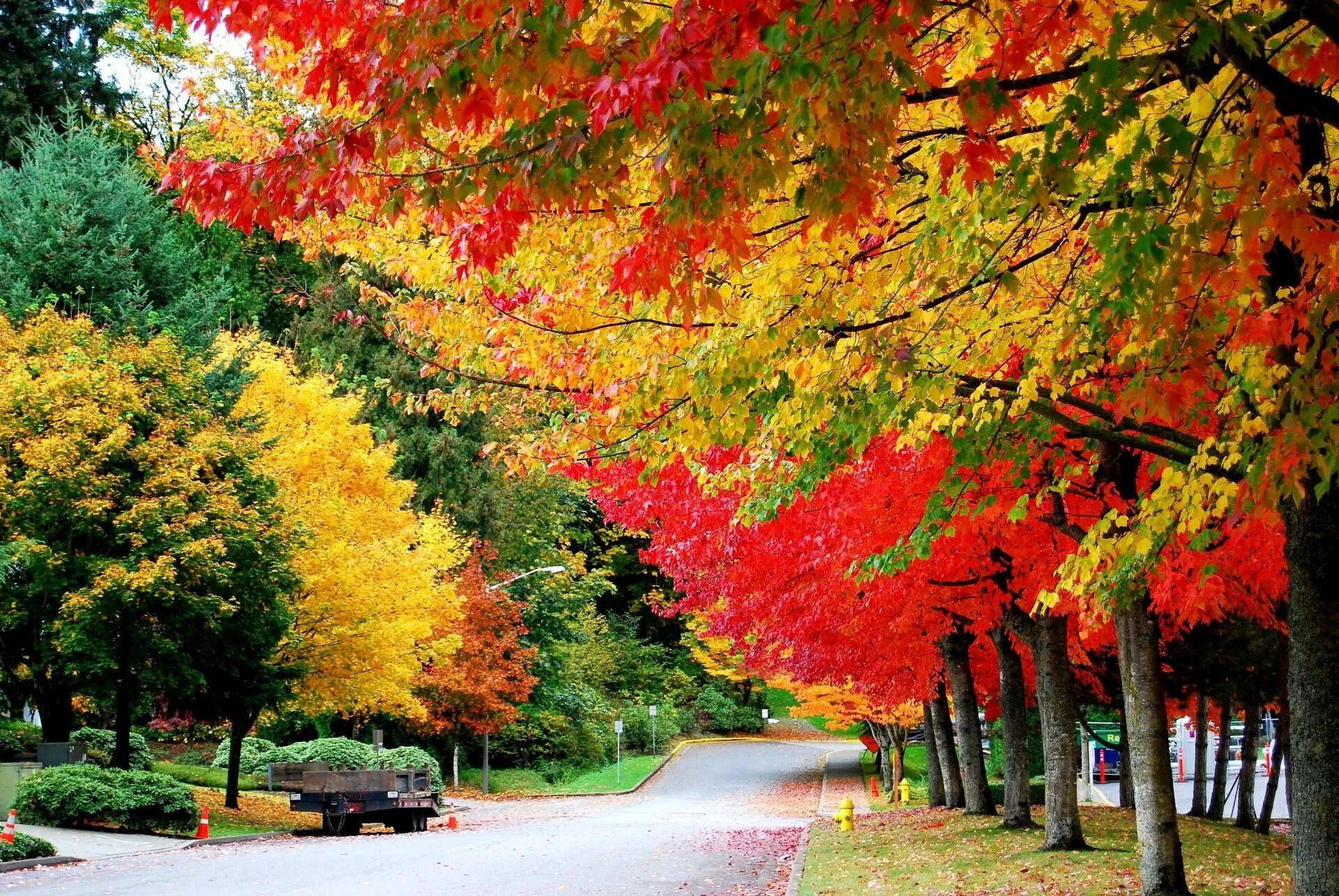Осень фото красивые. Осень. Красивая осень. Золотая осень. Разноцветная осень.