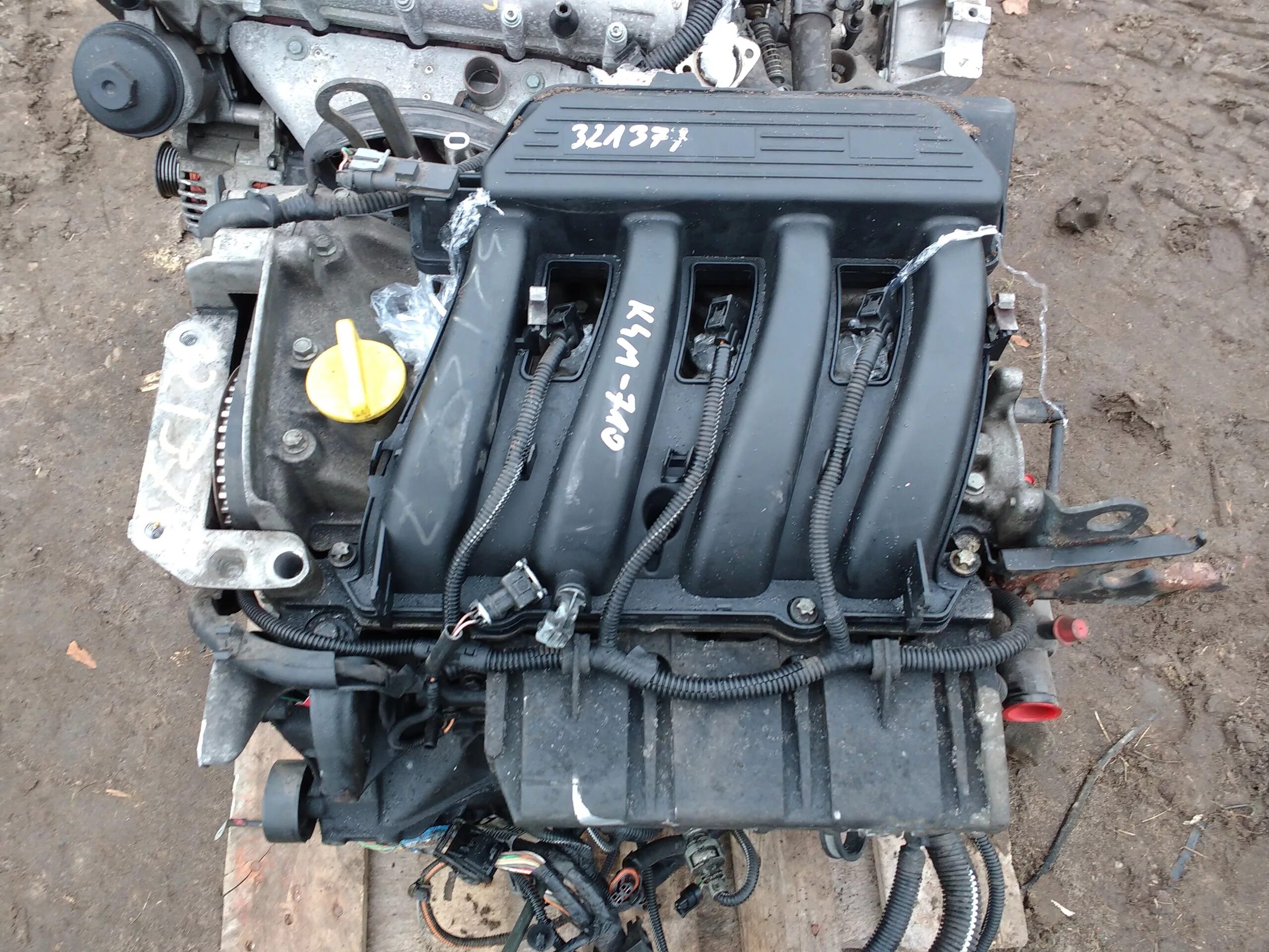Двигатель Renault k4m. Двигатель Renault k4m 1.6 16v. Рено 1.6 16 клапанов. Renault k4m 1.6 л 16 клапанов.