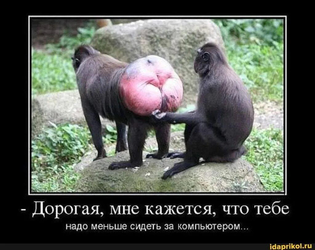 Молодые люди делают шпили-вили несмотря на предъявы