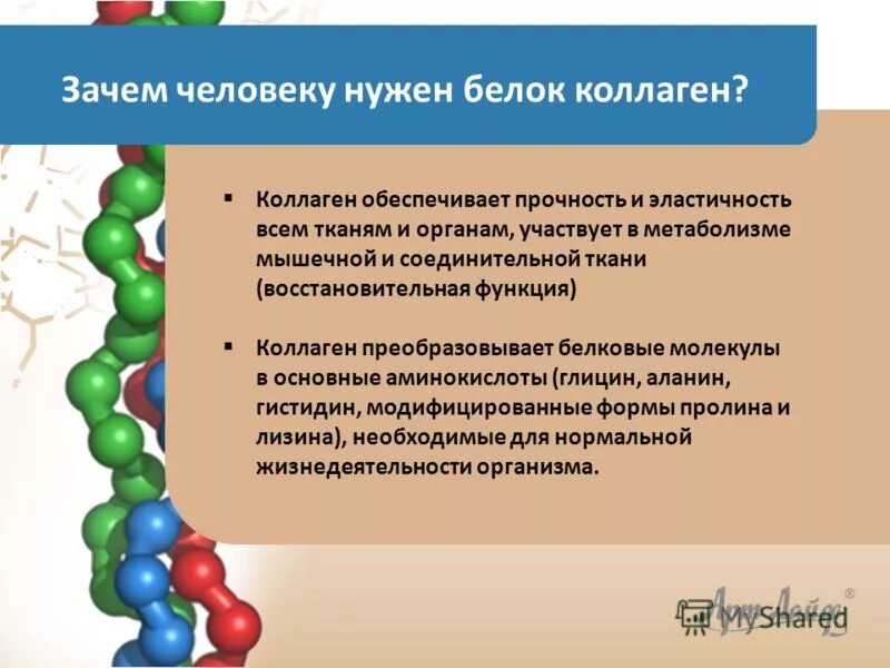 Коллаген выполняет функцию