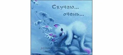 Спасибо буду скучать
