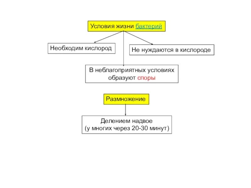 Внешним условиям жизни. Условия жизни бактерий. Условия жизни микроорганизмов. Условия неблагоприятные для жизни бактерий создаются в процессе. Условия жизни бактерий неблагоприятные условия.