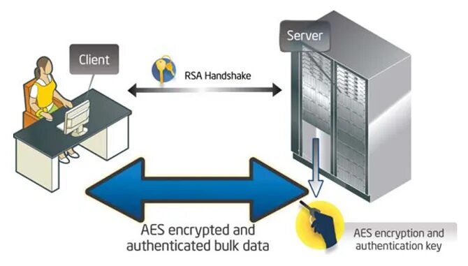 Aes ni. Aes intel. advanced encryption standard. aes-ni как включить. aes ni amd.