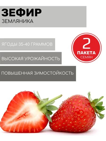 Зефир описание сорта фото отзывы