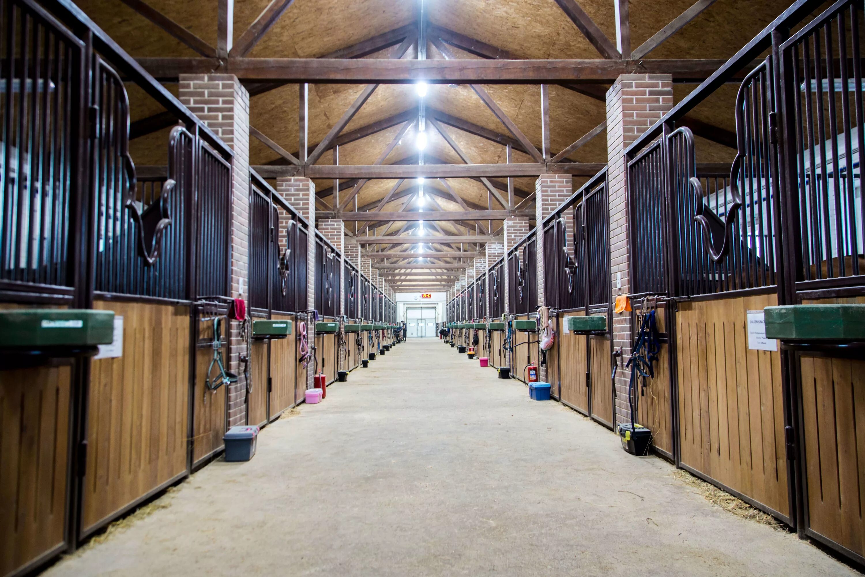 Конюшня в абу даби. Клин изумрудный лес эко отель. Золотые конюшни. Золотая подкова саратов конный клуб. Монруж франция конюшни.