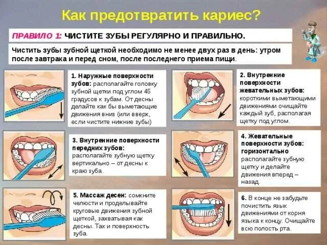 Утром зубы до или после еды. Как правильно чистить зубы. Схема чистки зубов. Алгоритм чистки зубов. Рекомендации по чистке зубов.