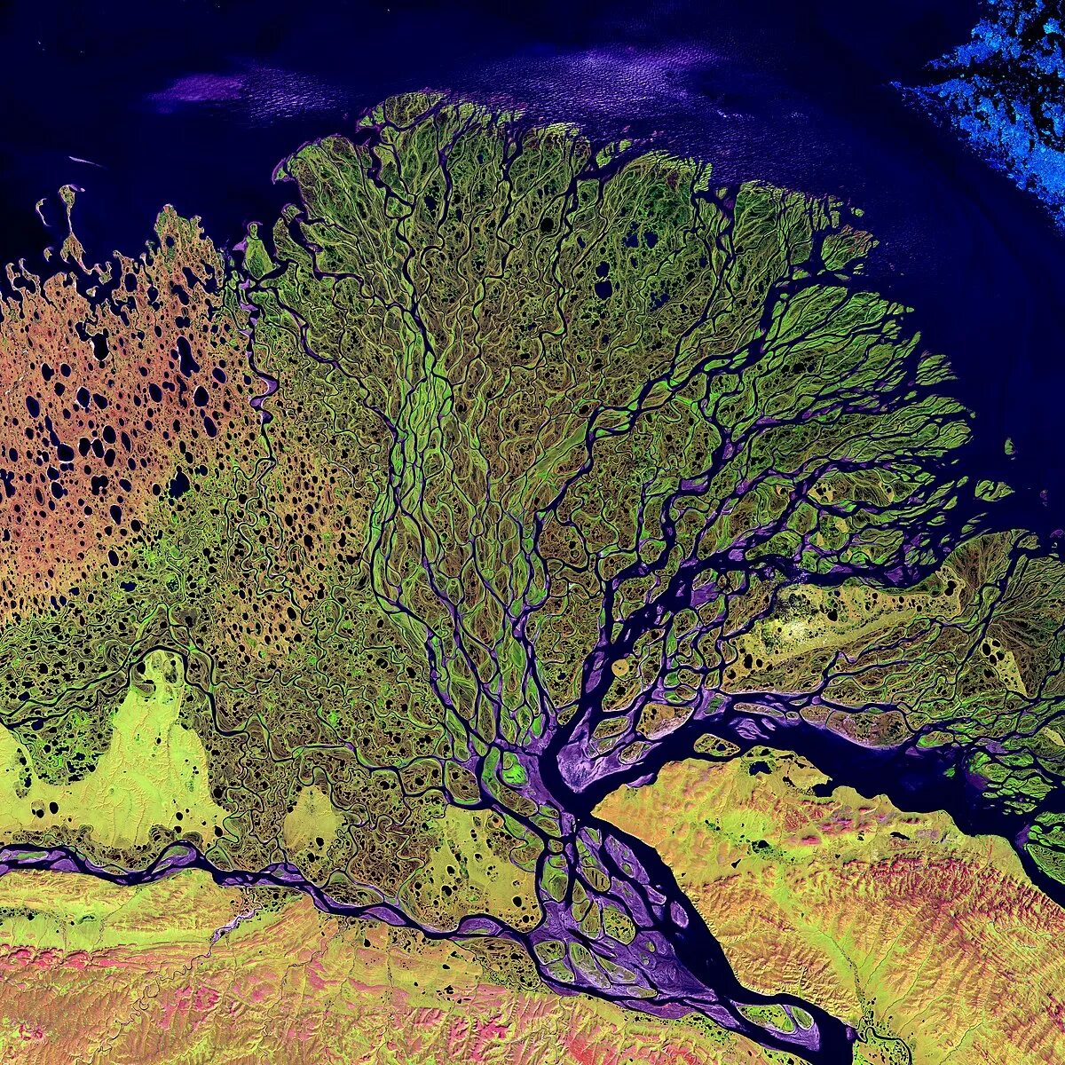 Polygone Tundra, Lena Delta, Sakha Republic, Siberia, Russia Sakha republic, Rus