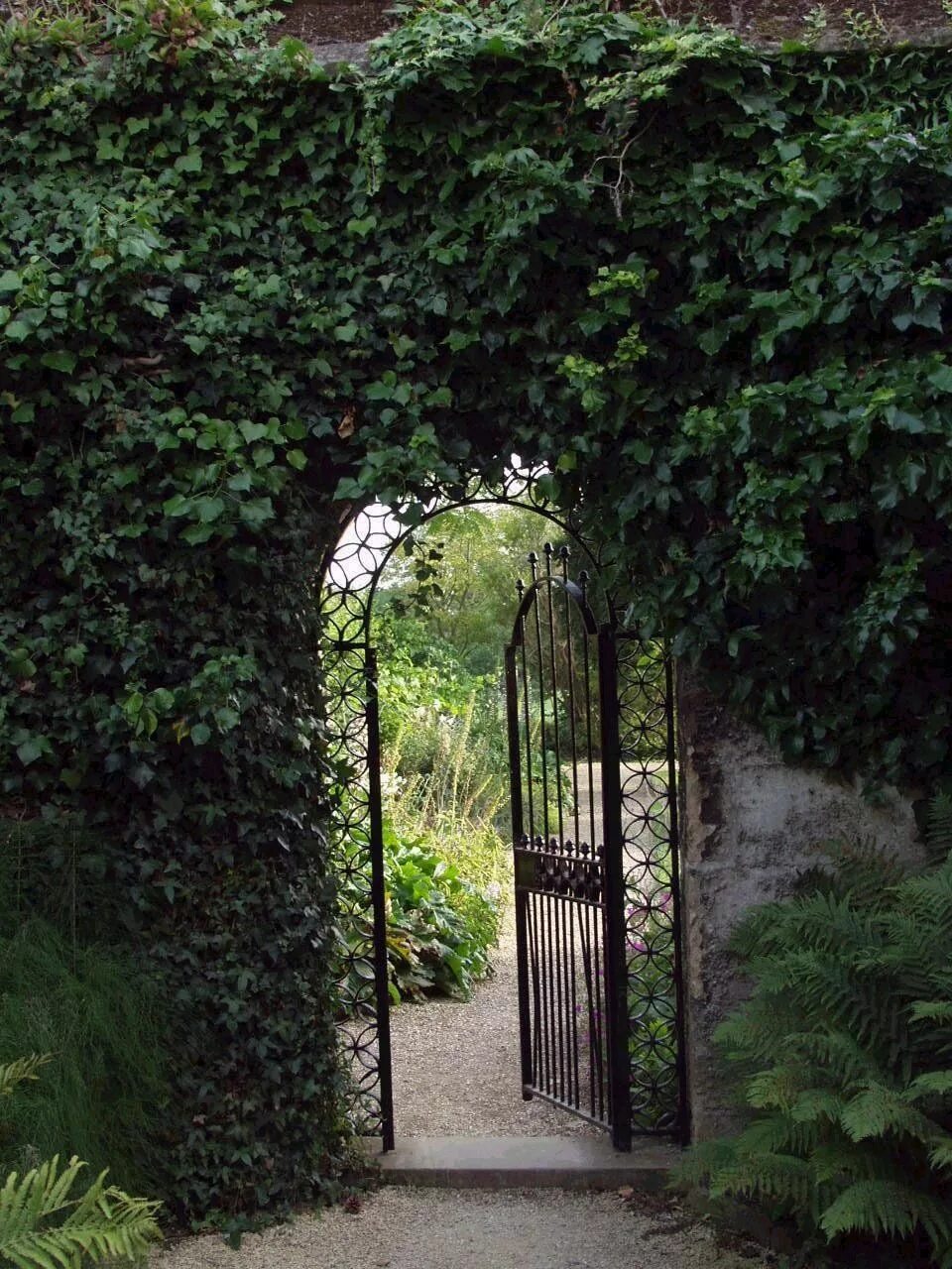 "амстердамская калитка". Калитка в сад. Гарден гейт (garden gate) плетистая. Бельдиби каменная арка. Калитка в сад.