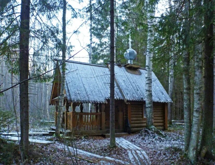 Осинки нижегородская область. Погода осинки семеновский. Деревня сонино нижегородская область. Погода осинки семеновский. Луканинский колодчик.