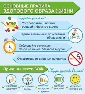 Изучение здорового образа жизни