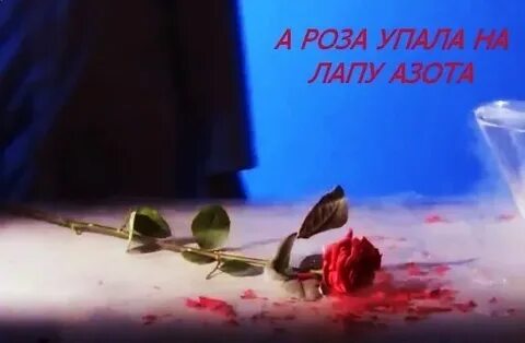 Розовая упал