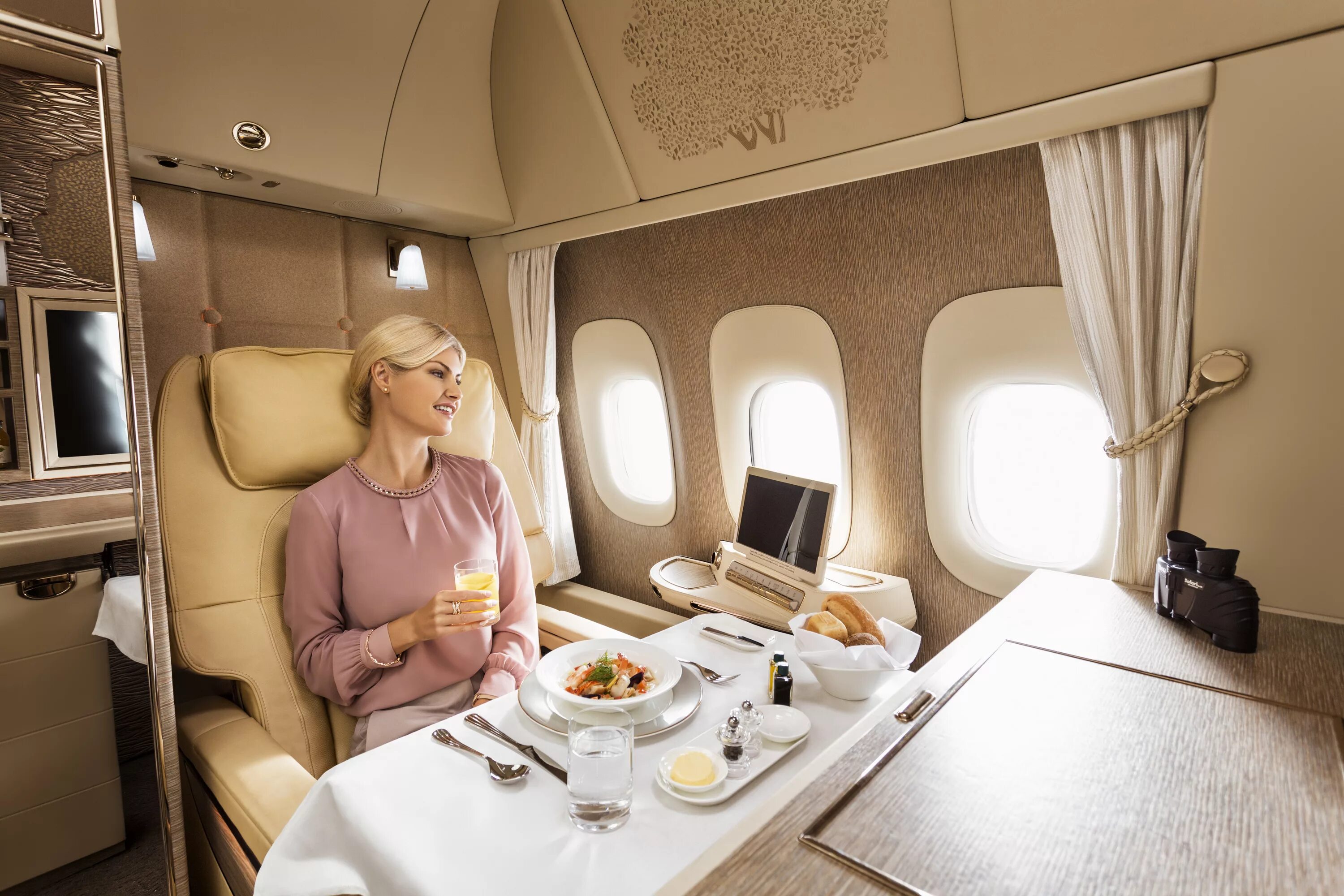 First class купить. Первый класс эмиратские авиалинии. Первый класс Emirates Airlines a380. Первый класс в самолете Эмирейтс. Эмирейтс Эйрлайнс первый класс.