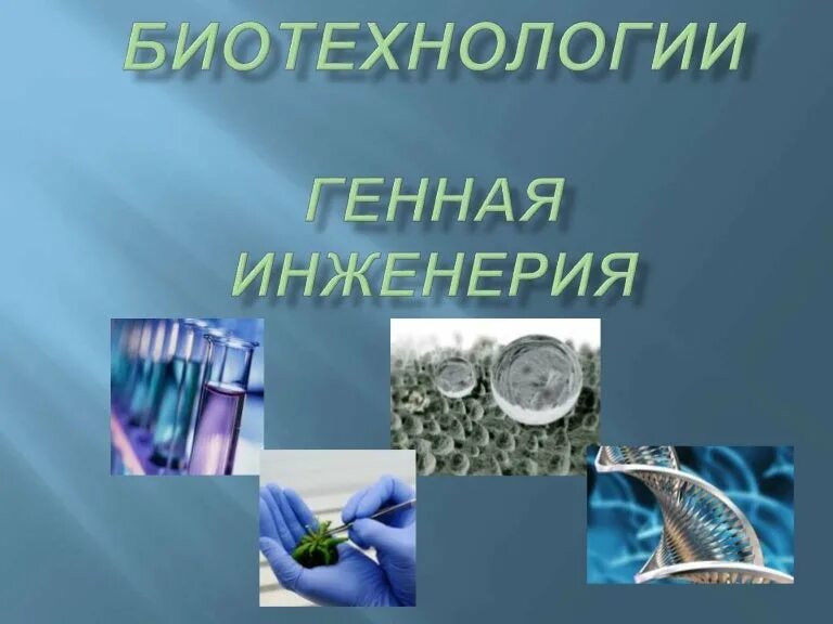 Инженерия живых систем. Генная инженерия в биотехнологии. методы генной инженерии в биотехнологии. основные направления биотехнологии и генной инженерии. современные биотехнологии.