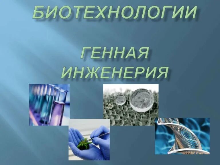 Биотехнология клеточная и генная. Генная инженерия в биотехнологии. Генная инженерия в биотехнологии методы. Основные направления биотехнологии и генной инженерии. Современные генные и биотехнологии.