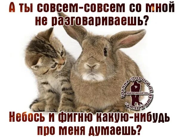 Совсем невозможно. А ты совсем совсем со мной не разговариваешь. ты со мной не разговариваешь. ты не хочешь со ной разговаривать?. хочешь поговорить со мной.