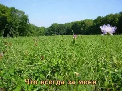 2 августа луга