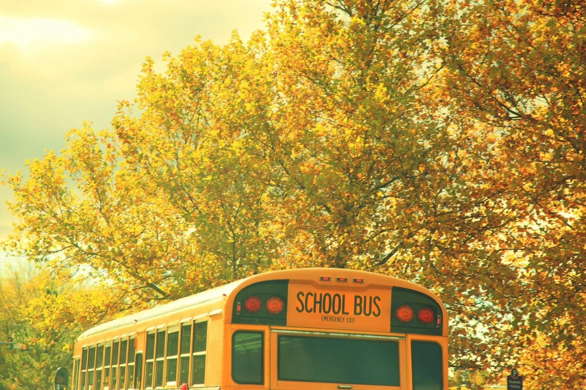 School time bus