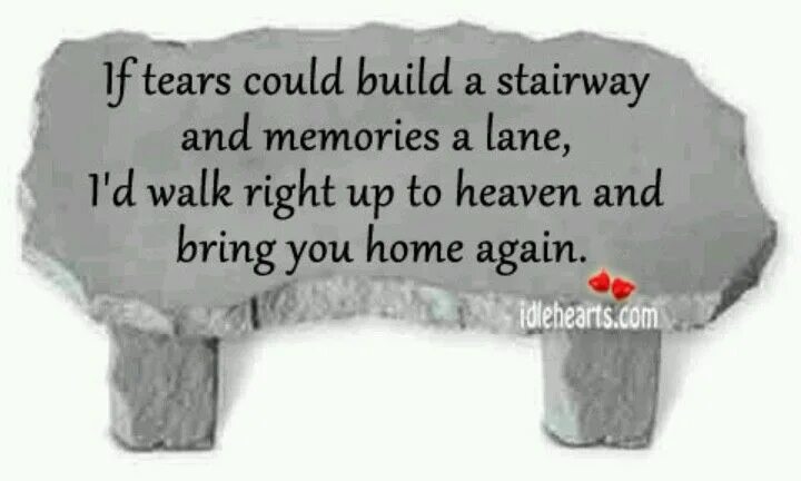 This could build us a