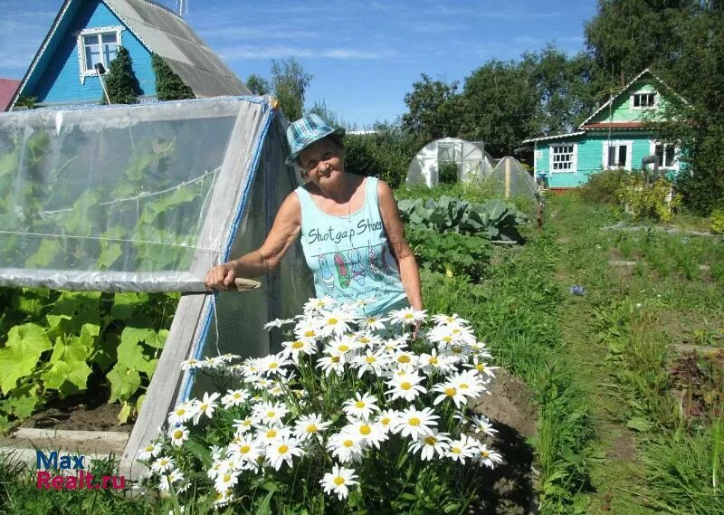 Садоводы севера 3. Садоводы севера коряжма сайт. снт садоводы севера коряжма. дача коряжма. 6 дачи коряжма.