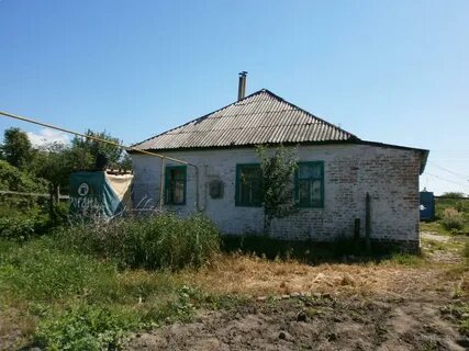 Погода новопокровка
