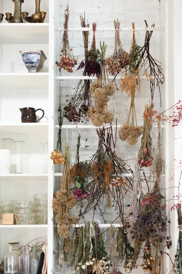 Как засушить цветы для декора дома Moonko Dried Flowers Dried flowers, Flowers, Flower aesthetic
