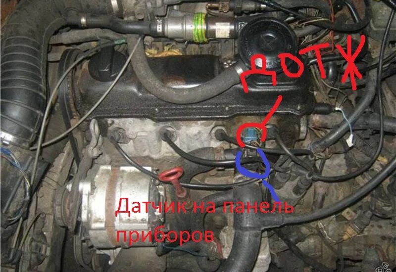 Картинки ДАТЧИК ТЕМПЕРАТУРЫ ПАССАТ Б5 1.9