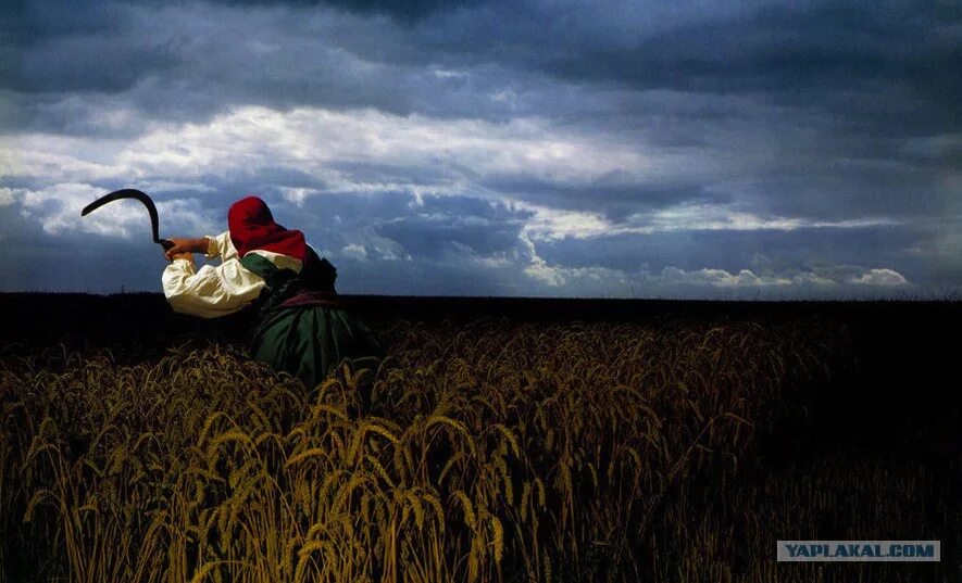 A broken frame depeche. Depeche mode &quot;a broken frame&quot;. depeche mode a broken frame 1982. depeche mode a broken frame обложка 1982. depeche mode a broken frame обложка.