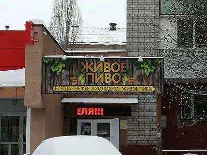 Пивная воронеж