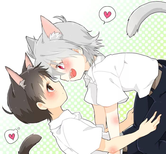 Shota kun is lost on the island. Синдзи неко. Kaworu Nagisa Neko. Каору неко. Неко Евангелион Каору.