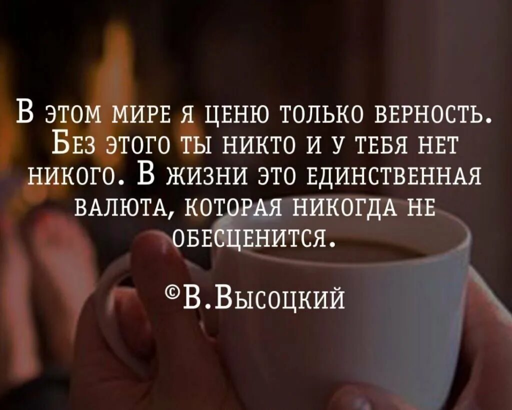 Не ценила подарки. Высказывания честность и верность ..... Высказывания про верность. Цитаты про любовь и преданность. Цитаты про верность.