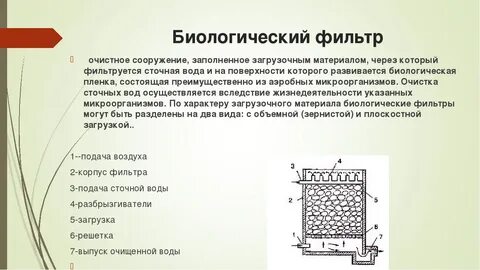 Роль биофильтров выполняют