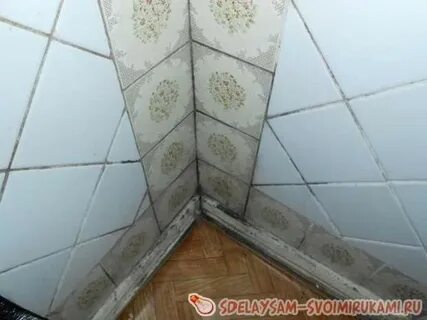 Грибок на плитке