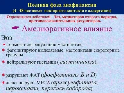 Поздние фазы