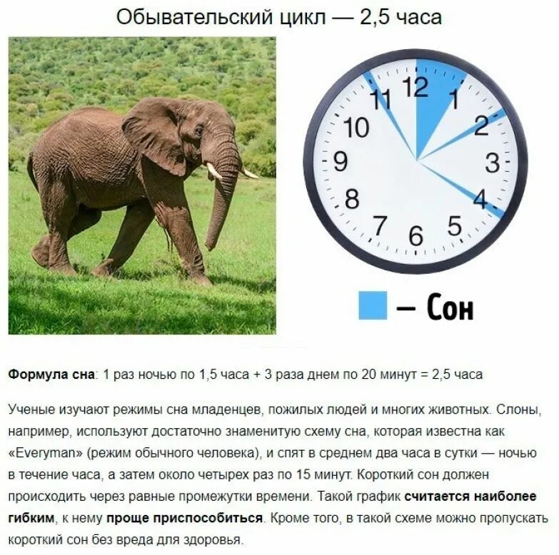 Можно спать 2 часа