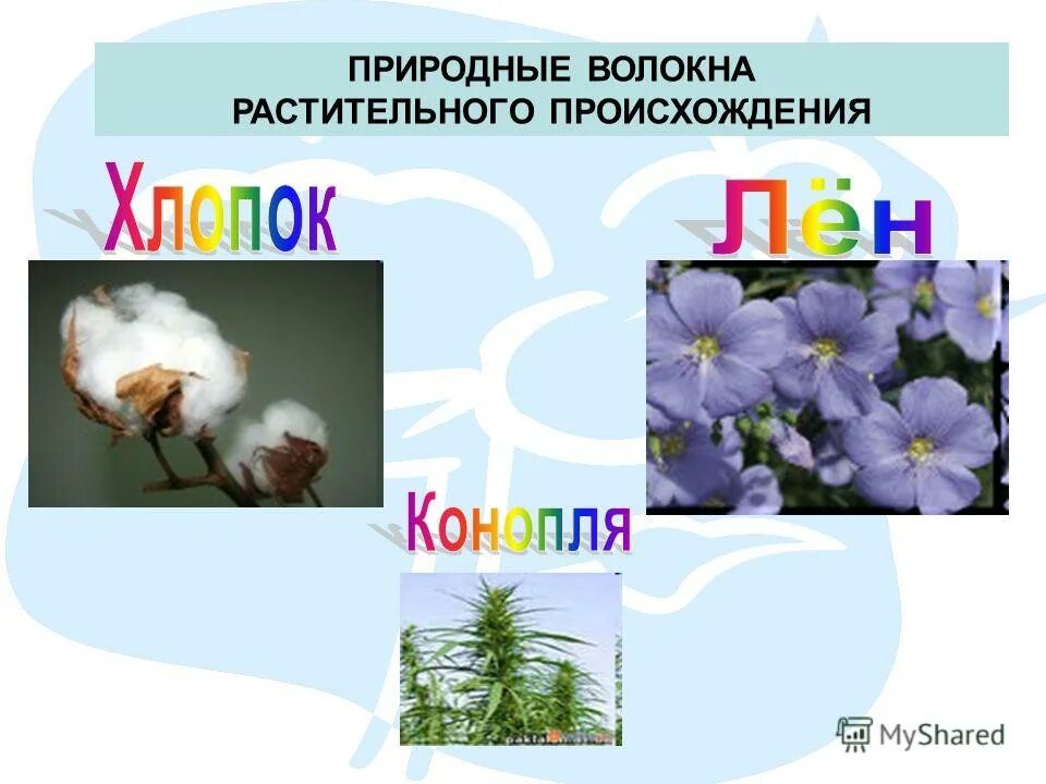 натуральные волокна животного происхождения. природные волокна животного происхождения. натуральная растительная ткань. аолокана природные и химически. схема классификации текстильных волокон.