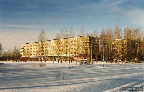 Поселок понтонный ленинградская область