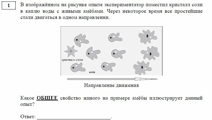 Какое общее свойство живых систем иллюстрирует опыт
