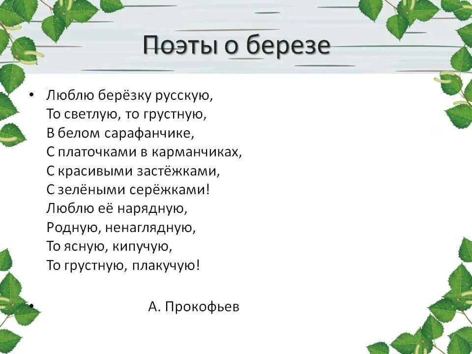 Подснежник ошибка березонька шоссе