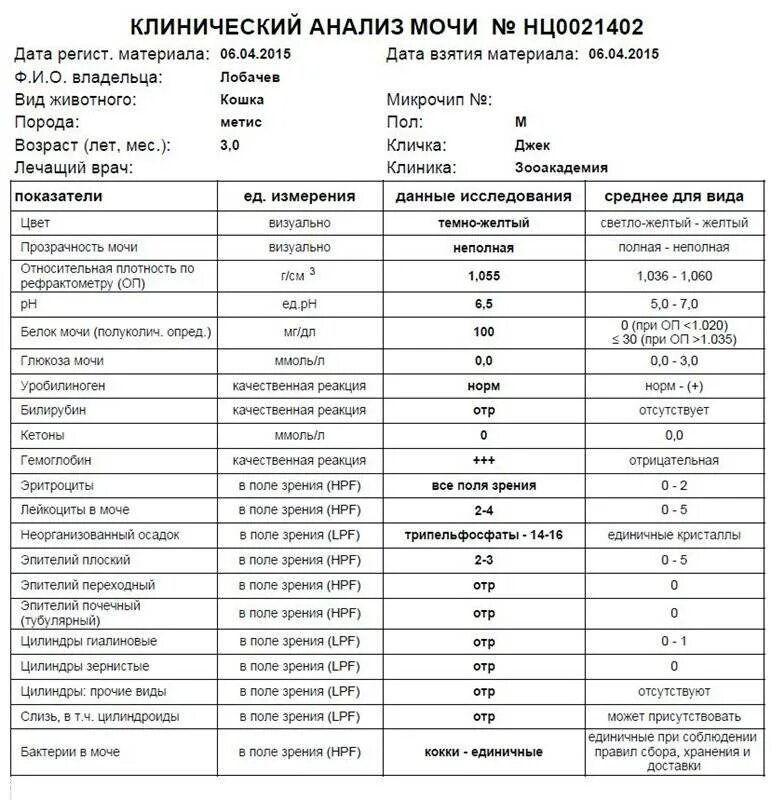 Таблица норм белка в моче у ребенка. Норма белка в моче у мужчин. Нормы анализов общий анализ мочи у женщин. Показатели белка в моче норма таблица у женщин. Показатели белка в моче норма таблица.